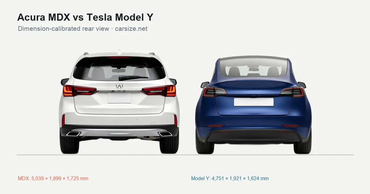 Acura MDX and Tesla Model Y compared to scale from the rear