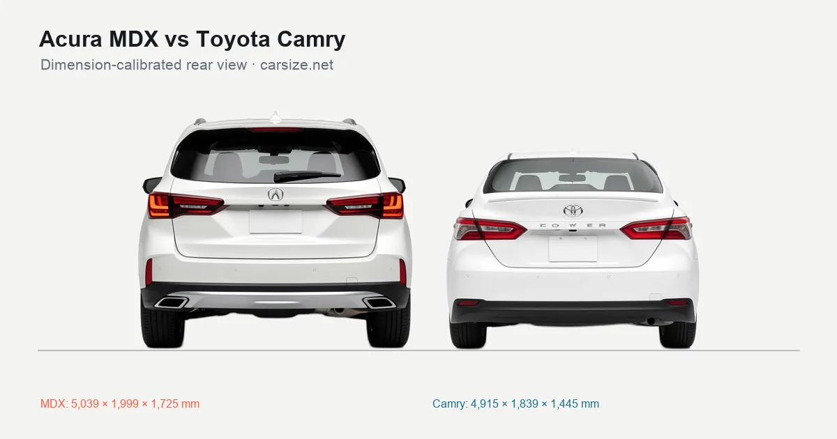 Acura MDX and Toyota Camry compared to scale from the rear
