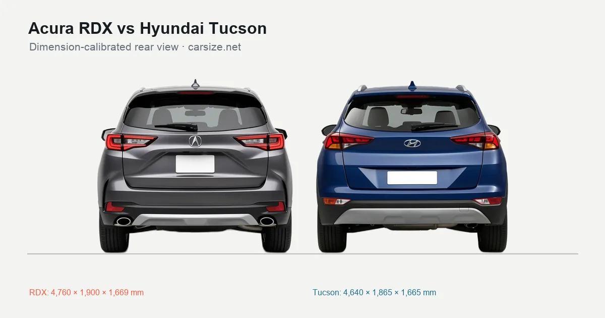 Acura RDX and Hyundai Tucson compared to scale from the rear