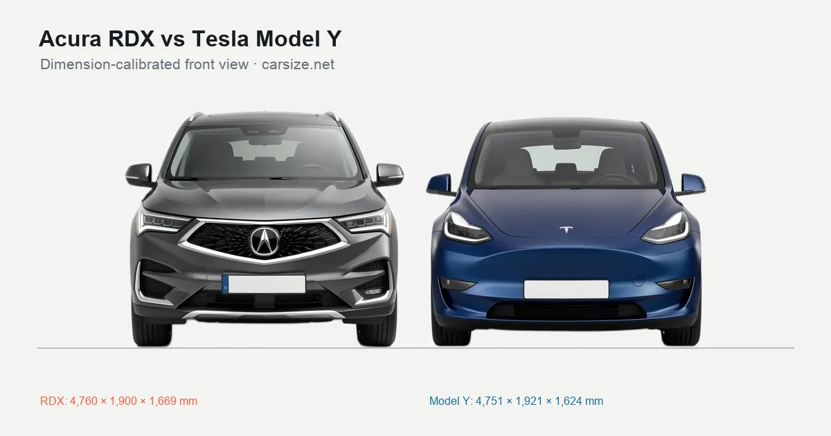 Acura RDX and Tesla Model Y compared to scale from the front