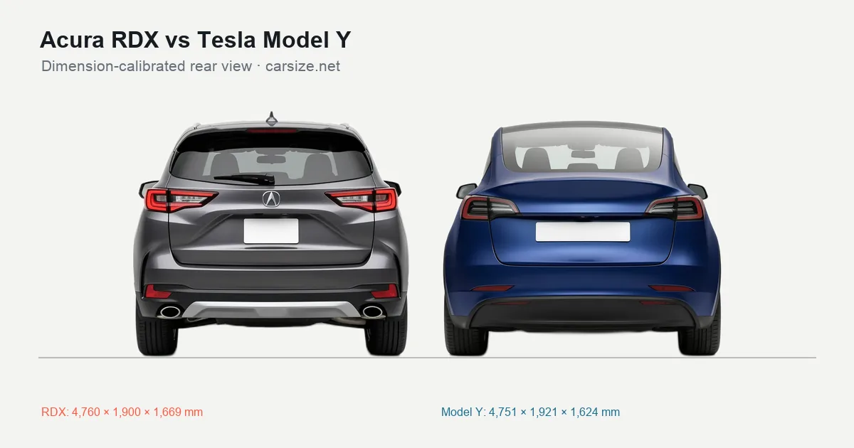 Acura RDX and Tesla Model Y compared to scale from the rear