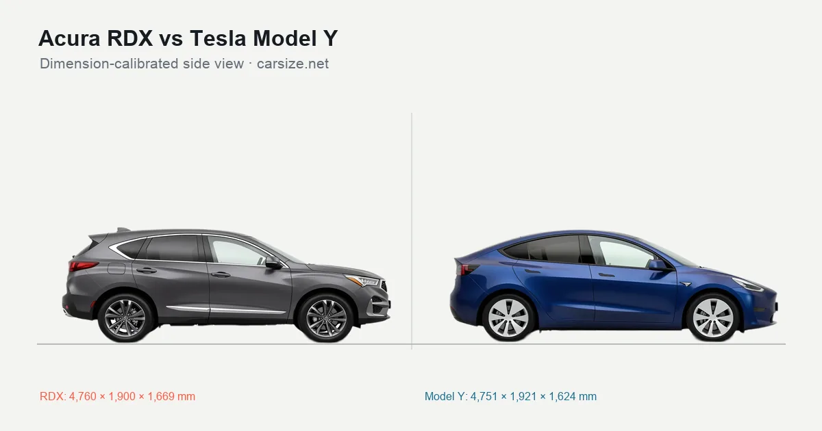 Acura RDX and Tesla Model Y compared to scale from the side