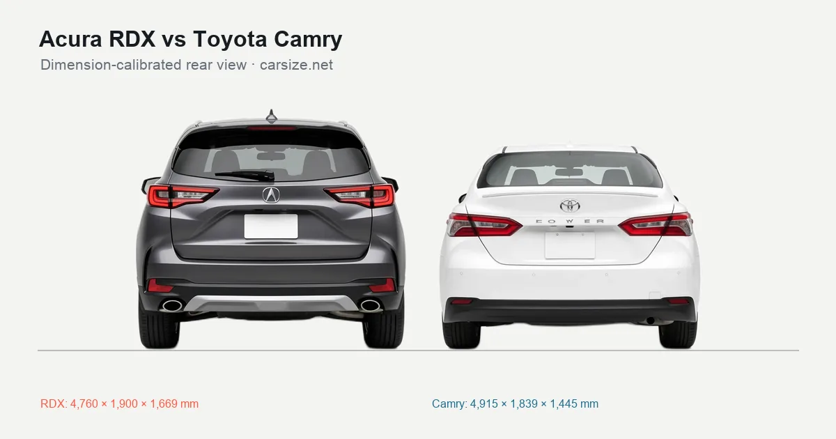 Acura RDX and Toyota Camry compared to scale from the rear