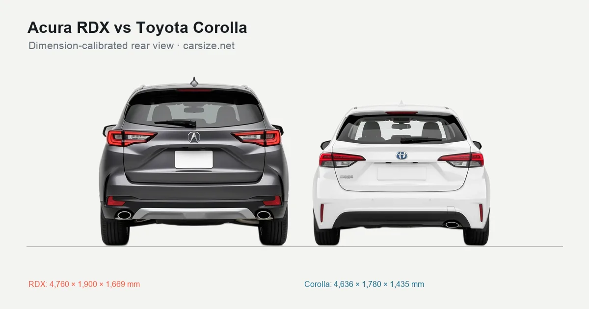Acura RDX and Toyota Corolla compared to scale from the rear