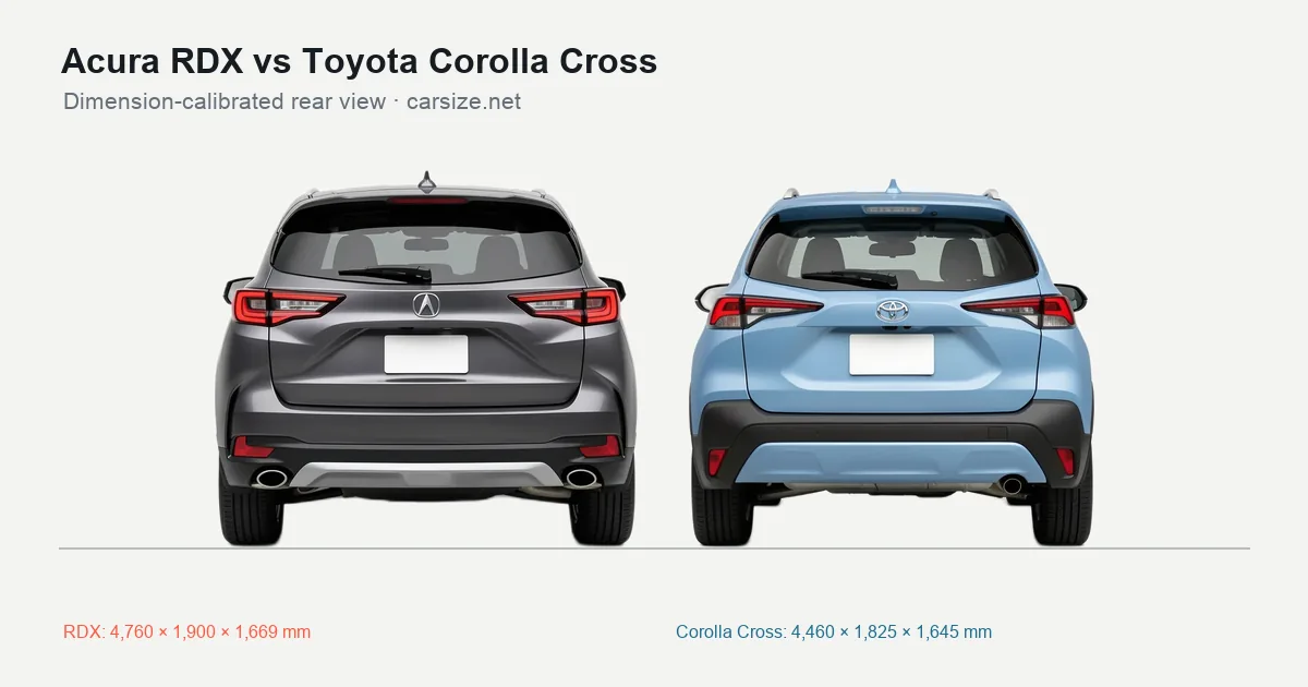 Acura RDX and Toyota Corolla Cross compared to scale from the rear