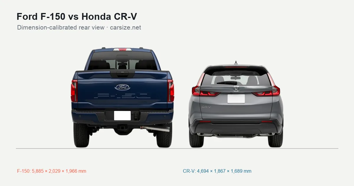 Ford F-150 and Honda CR-V compared to scale from the rear