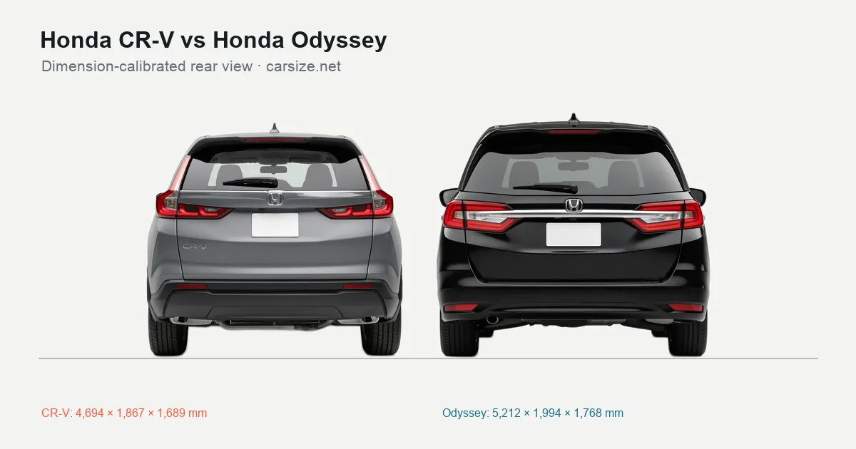 Honda CR-V and Honda Odyssey compared to scale from the rear