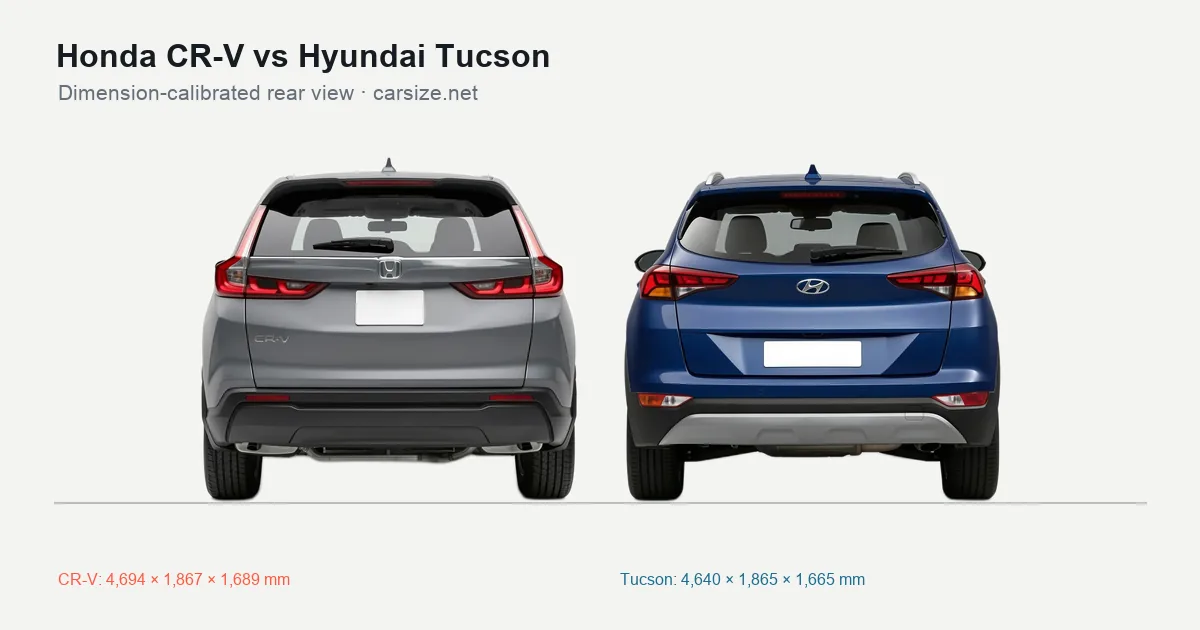 Honda CR-V and Hyundai Tucson compared to scale from the rear