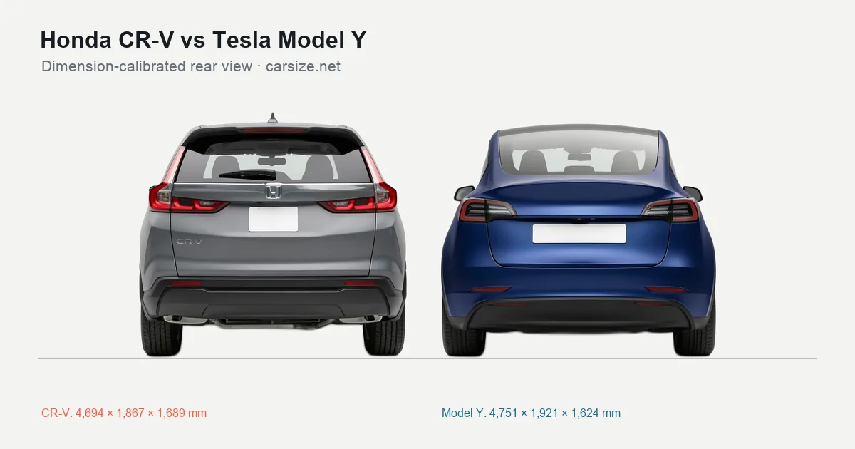 Honda CR-V and Tesla Model Y compared to scale from the rear