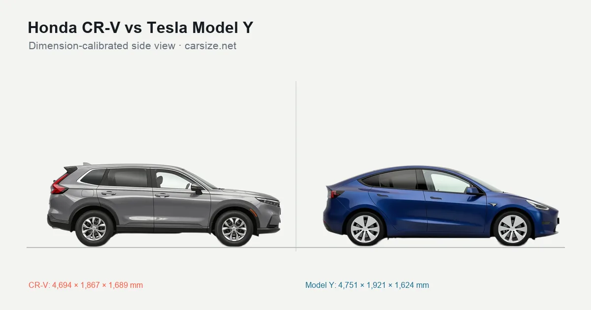 Honda CR-V and Tesla Model Y compared to scale from the side