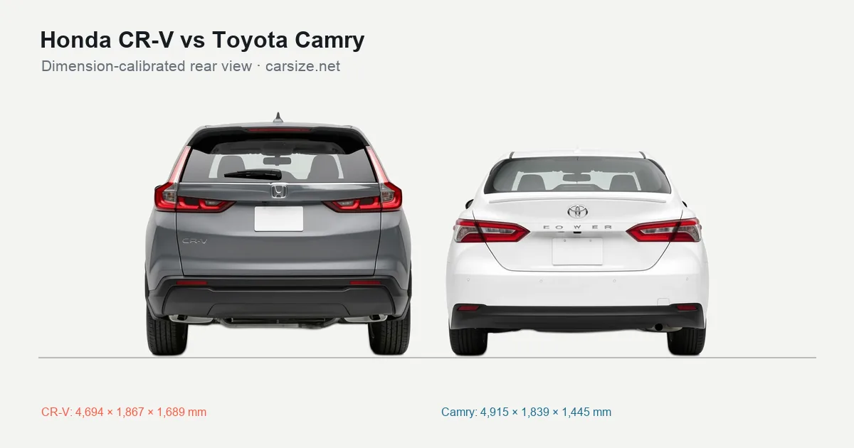 Honda CR-V and Toyota Camry compared to scale from the rear