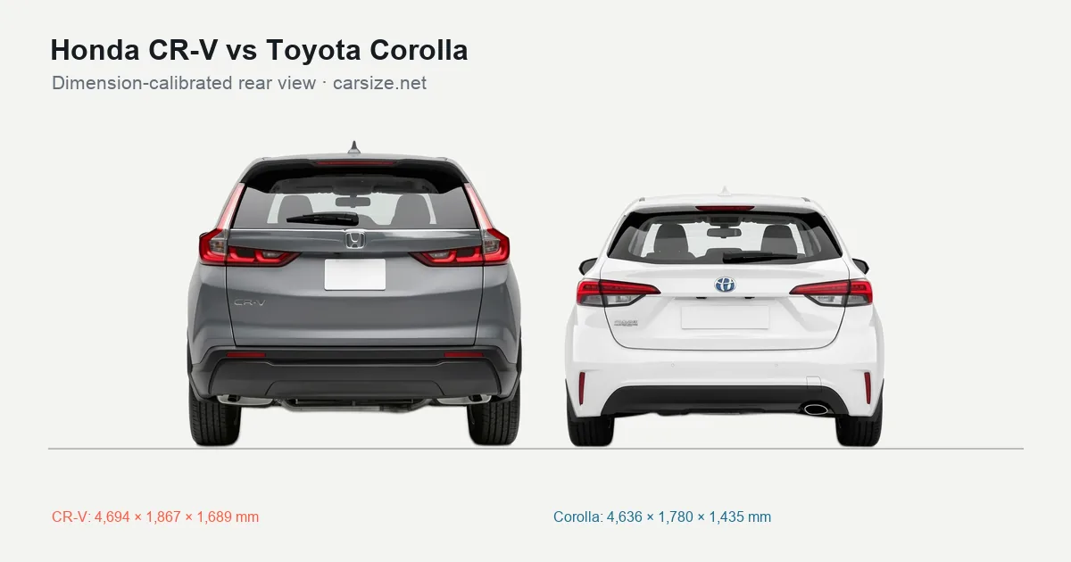 Honda CR-V and Toyota Corolla compared to scale from the rear