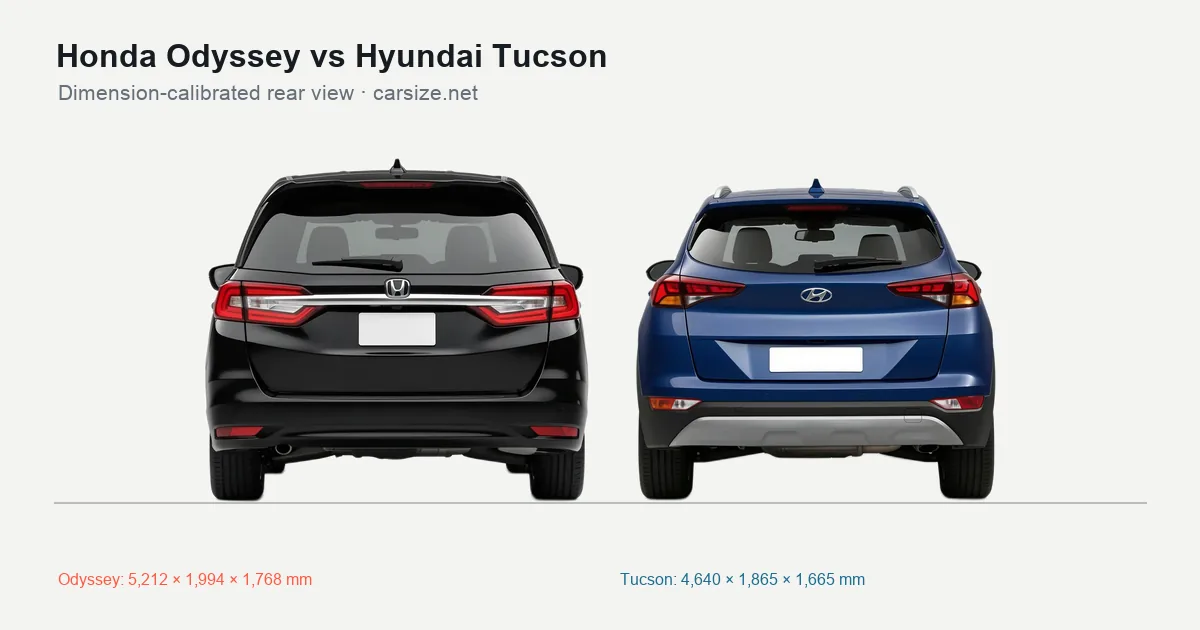 Honda Odyssey and Hyundai Tucson compared to scale from the rear