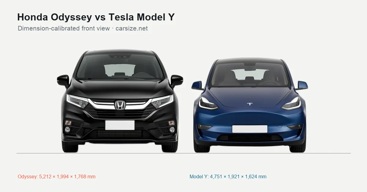 Honda Odyssey and Tesla Model Y compared to scale from the front