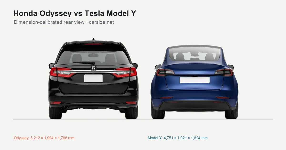 Honda Odyssey and Tesla Model Y compared to scale from the rear