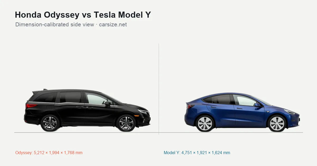 Honda Odyssey and Tesla Model Y compared to scale from the side