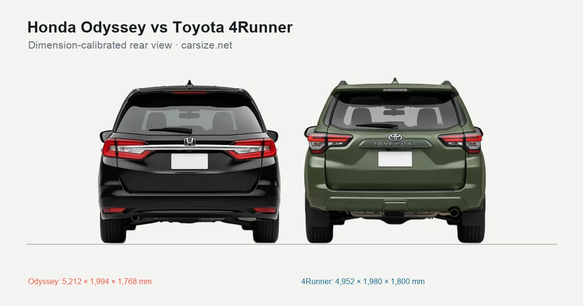 Honda Odyssey and Toyota 4Runner compared to scale from the rear