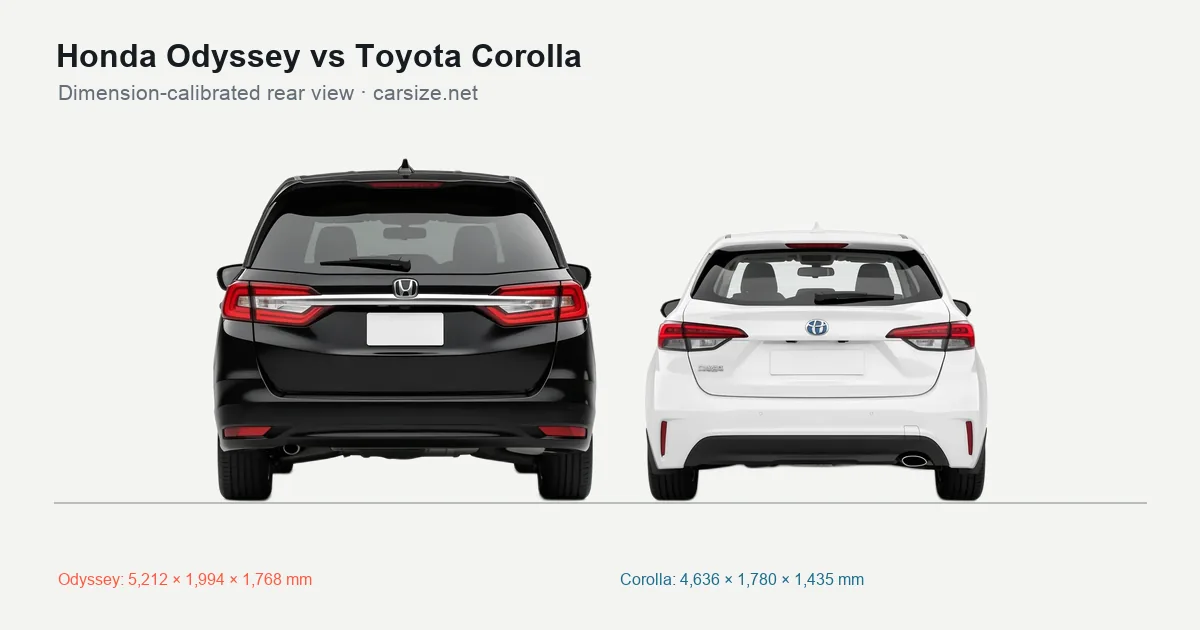 Honda Odyssey and Toyota Corolla compared to scale from the rear