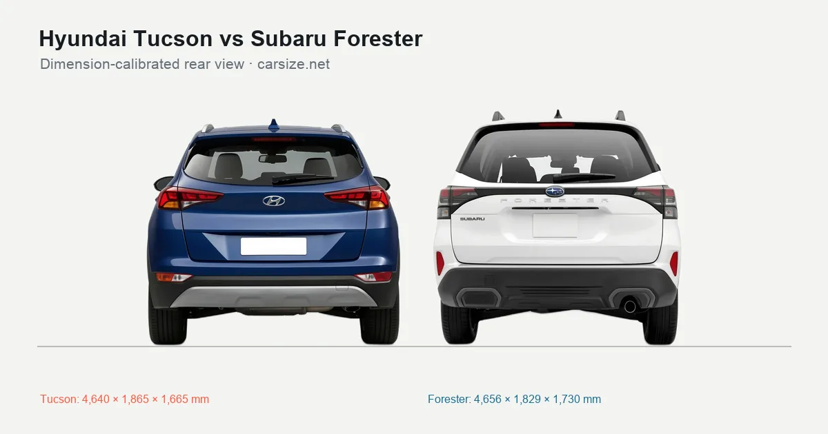 Hyundai Tucson and Subaru Forester compared to scale from the rear