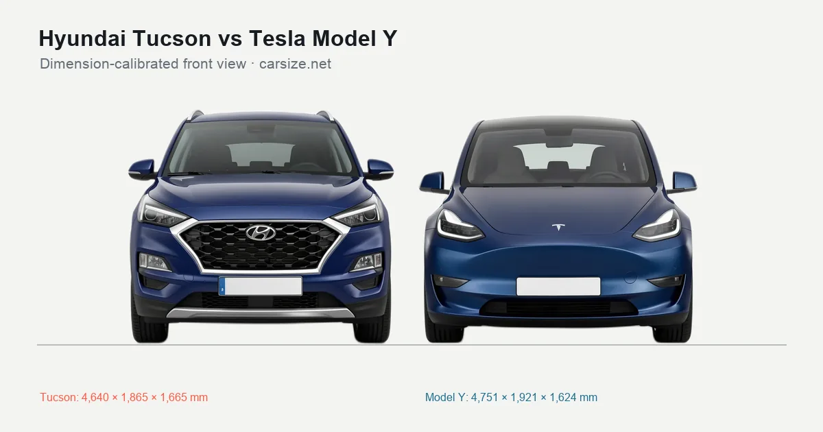 Hyundai Tucson and Tesla Model Y compared to scale from the front