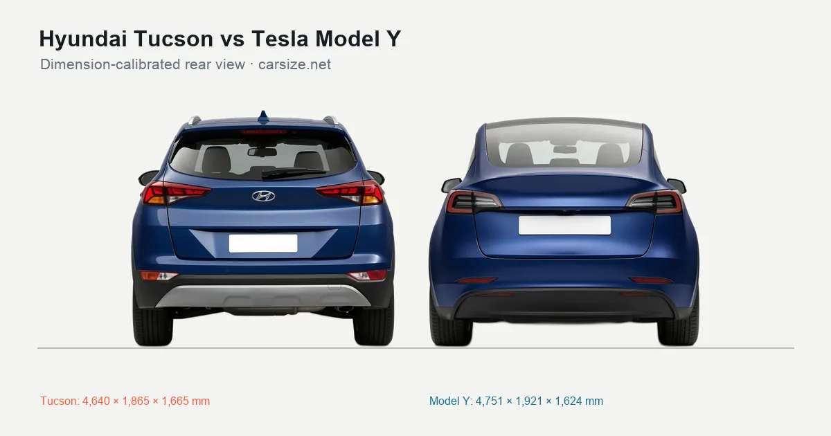 Hyundai Tucson and Tesla Model Y compared to scale from the rear