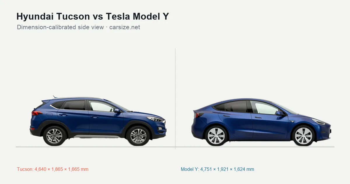 Hyundai Tucson and Tesla Model Y compared to scale from the side