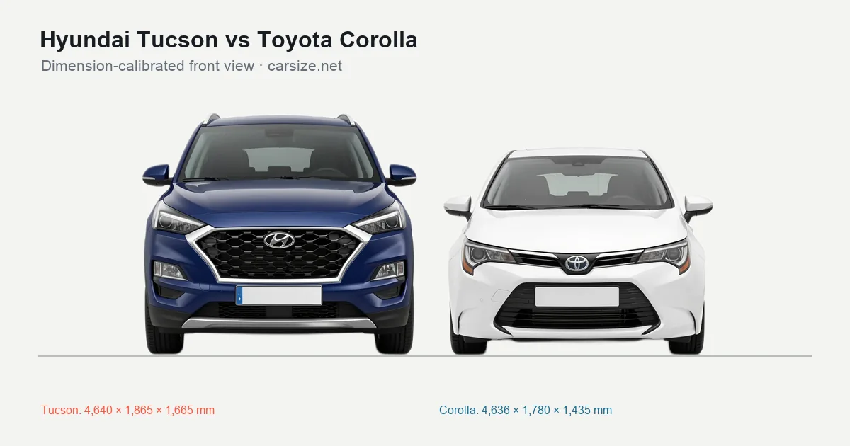 Hyundai Tucson and Toyota Corolla compared to scale from the front