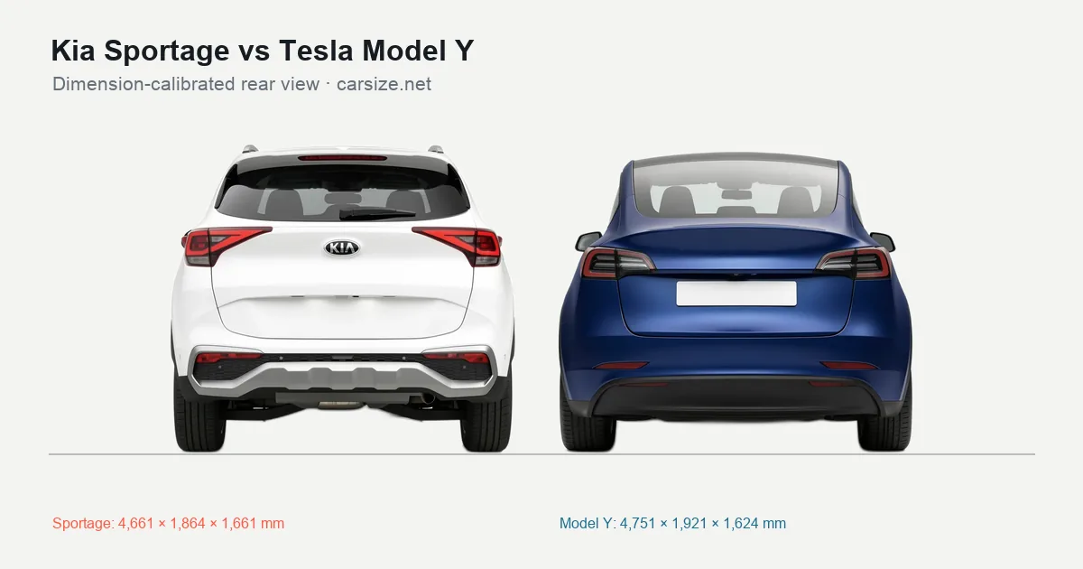 Kia Sportage and Tesla Model Y compared to scale from the rear