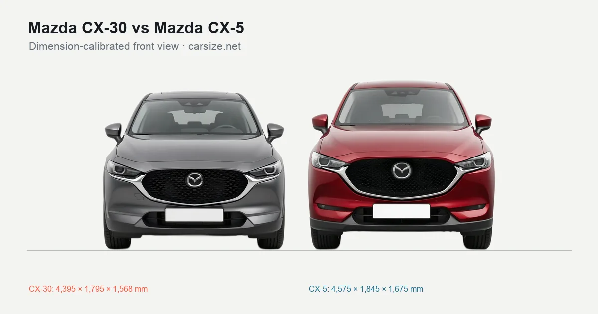 Mazda CX-30 and Mazda CX-5 compared to scale from the front