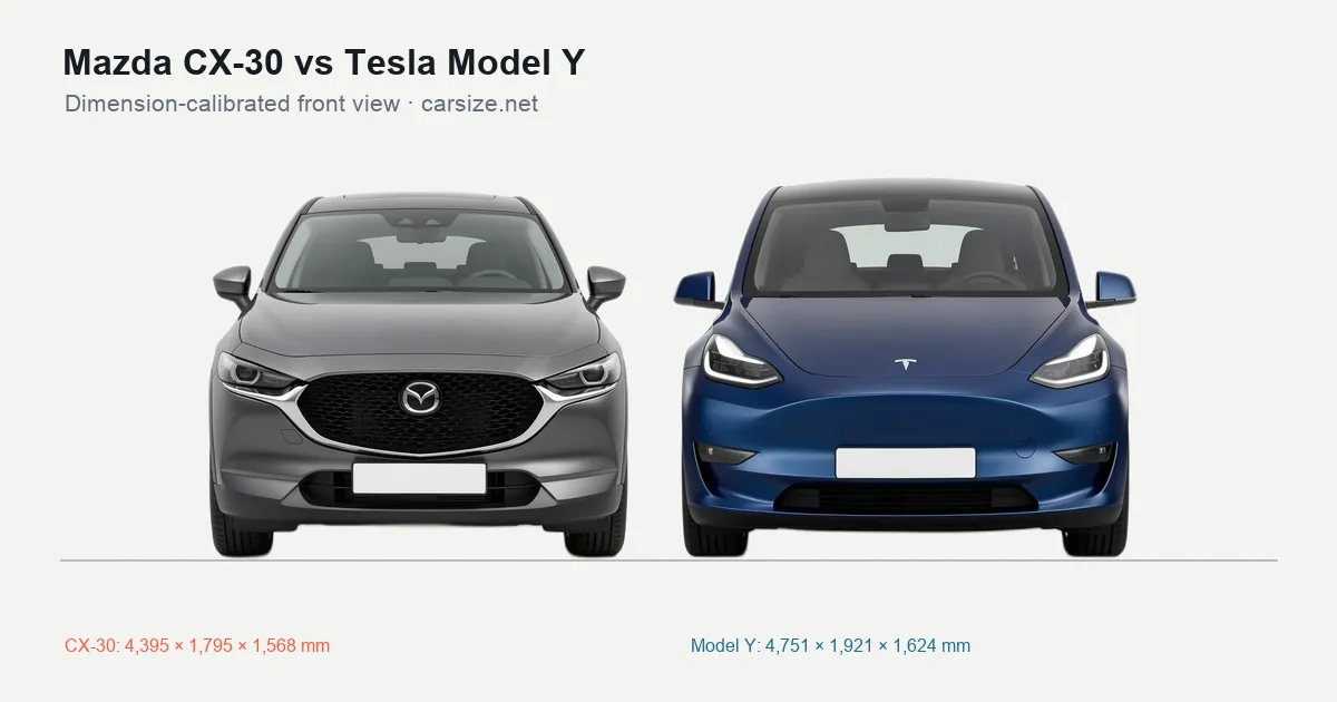 Mazda CX-30 and Tesla Model Y compared to scale from the front