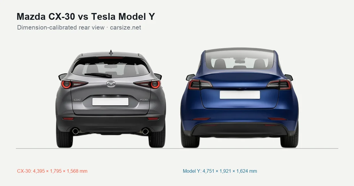 Mazda CX-30 and Tesla Model Y compared to scale from the rear