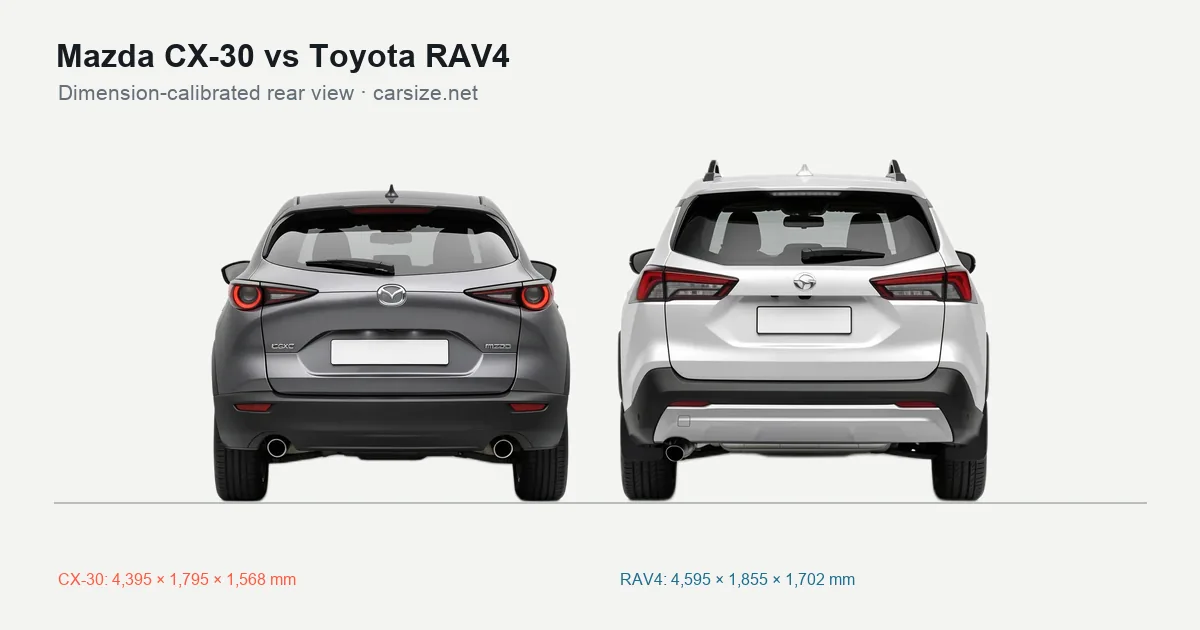 Mazda CX-30 and Toyota RAV4 compared to scale from the rear