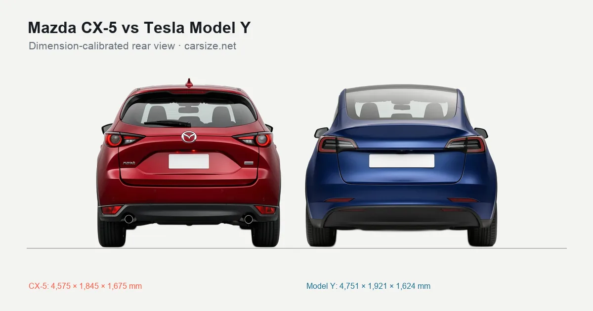 Mazda CX-5 and Tesla Model Y compared to scale from the rear
