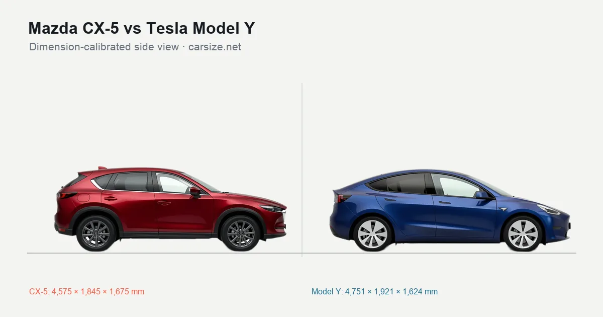 Mazda CX-5 and Tesla Model Y compared to scale from the side