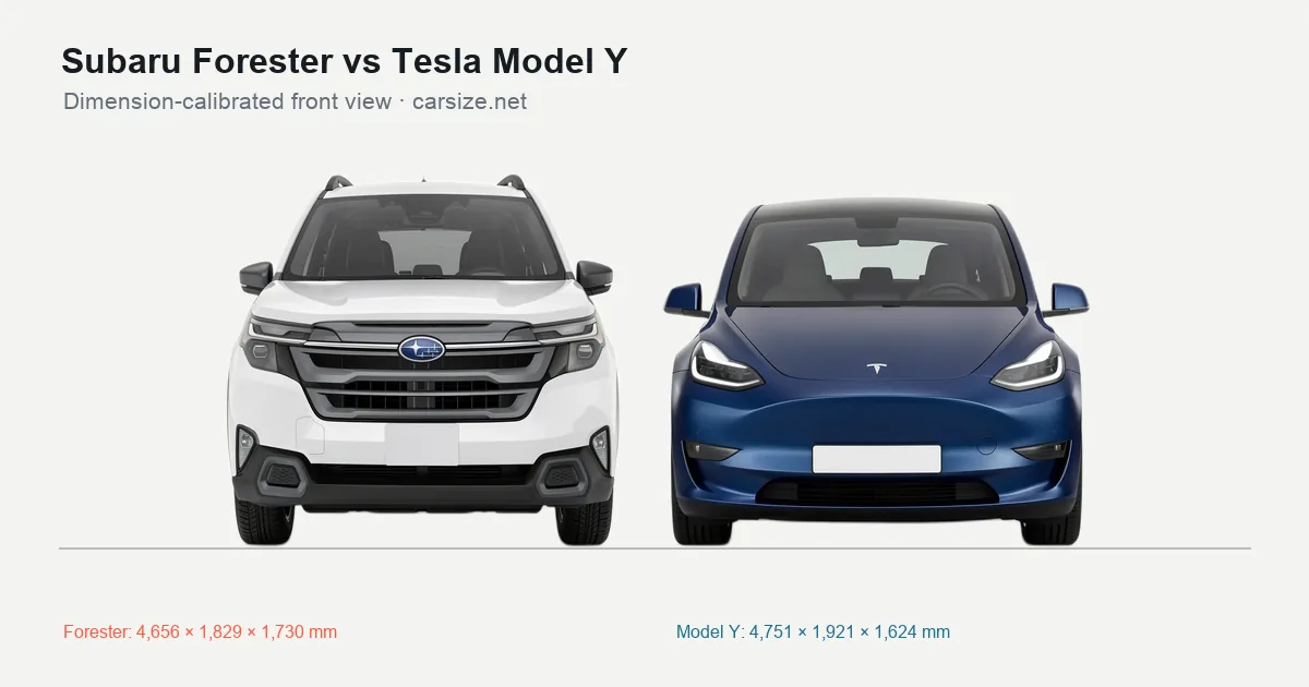 Subaru Forester and Tesla Model Y compared to scale from the front