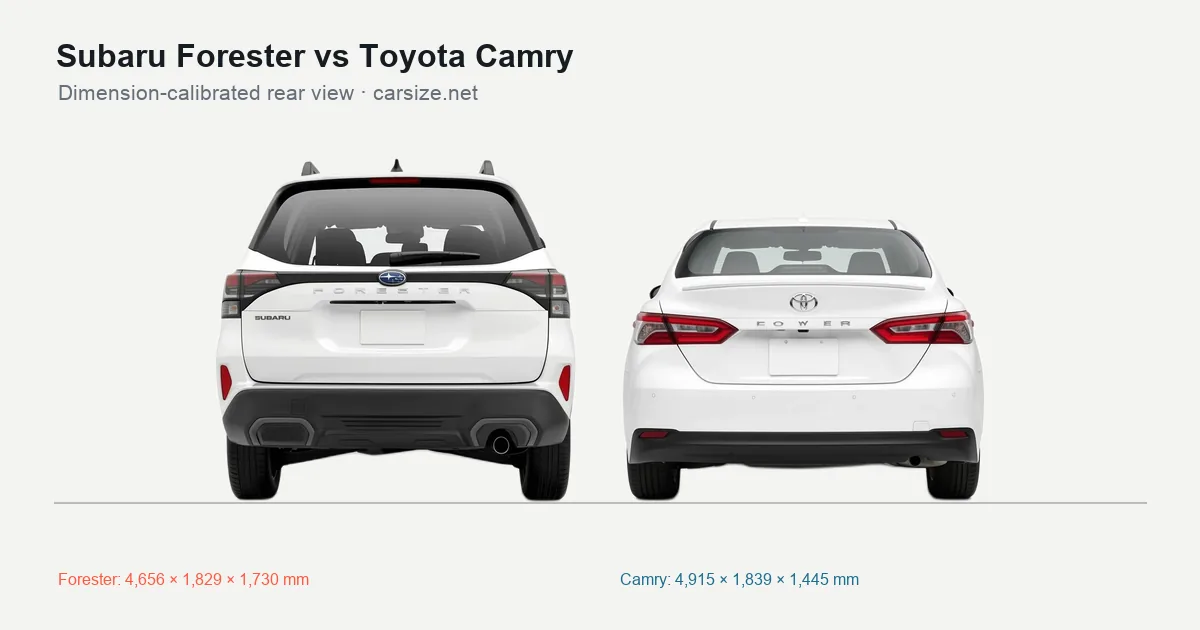 Subaru Forester and Toyota Camry compared to scale from the rear