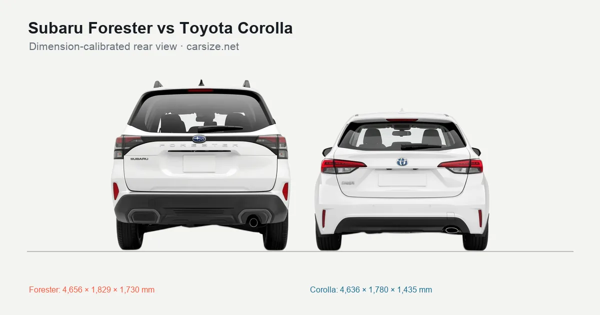 Subaru Forester and Toyota Corolla compared to scale from the rear