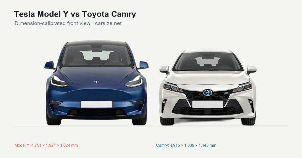Tesla Model Y and Toyota Camry compared to scale from the front