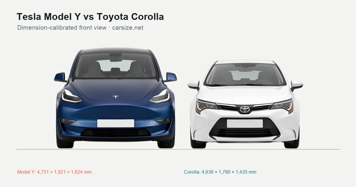 Tesla Model Y and Toyota Corolla compared to scale from the front