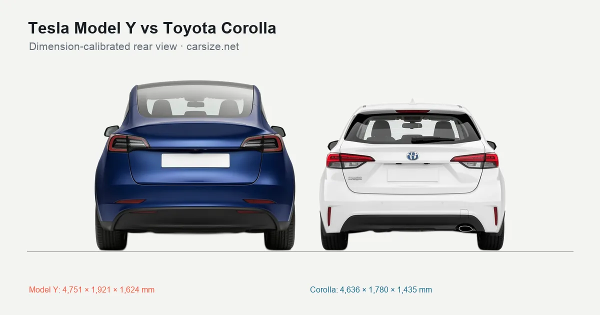 Tesla Model Y and Toyota Corolla compared to scale from the rear