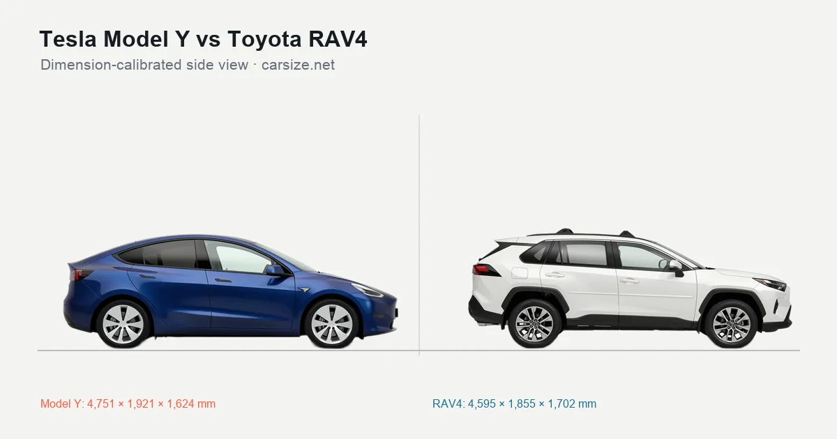 Tesla Model Y and Toyota RAV4 compared to scale from the side