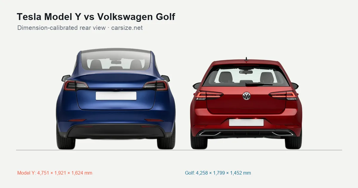 Tesla Model Y and Volkswagen Golf compared to scale from the rear