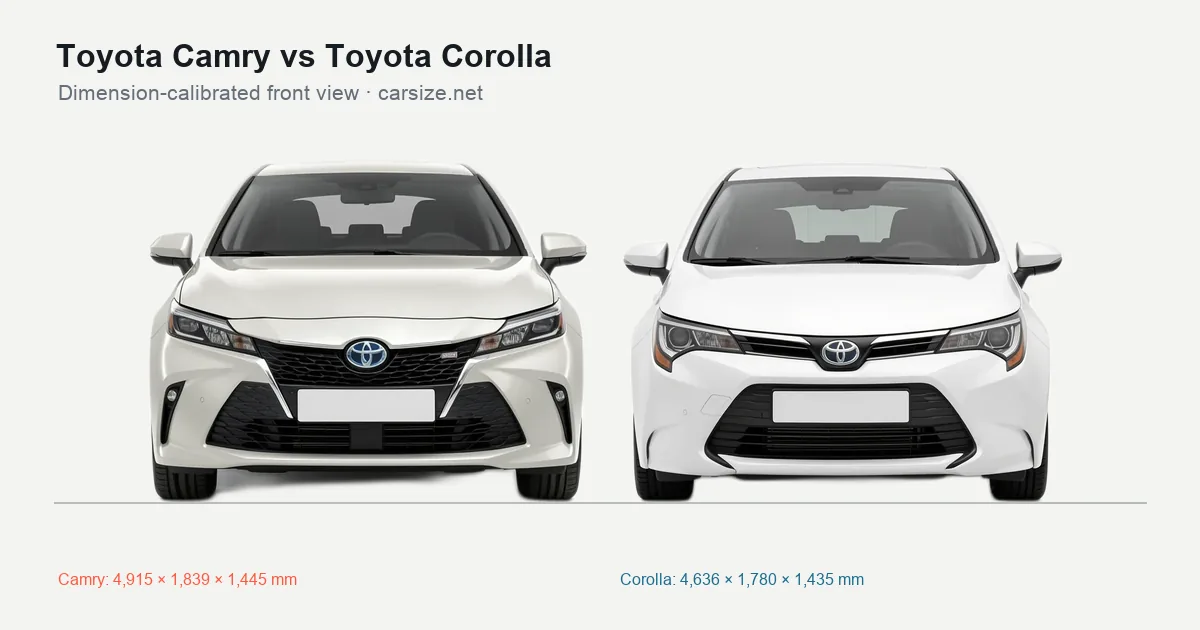 Toyota Camry and Toyota Corolla compared to scale from the front