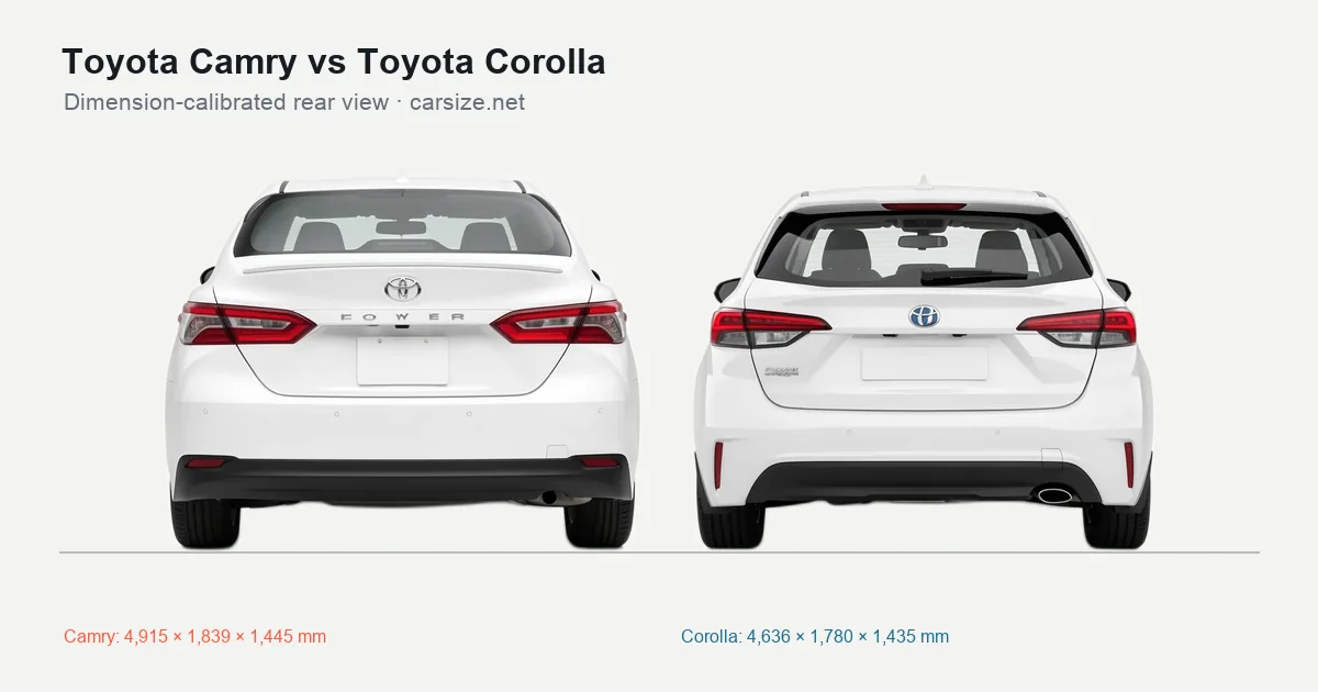 Toyota Camry and Toyota Corolla compared to scale from the rear
