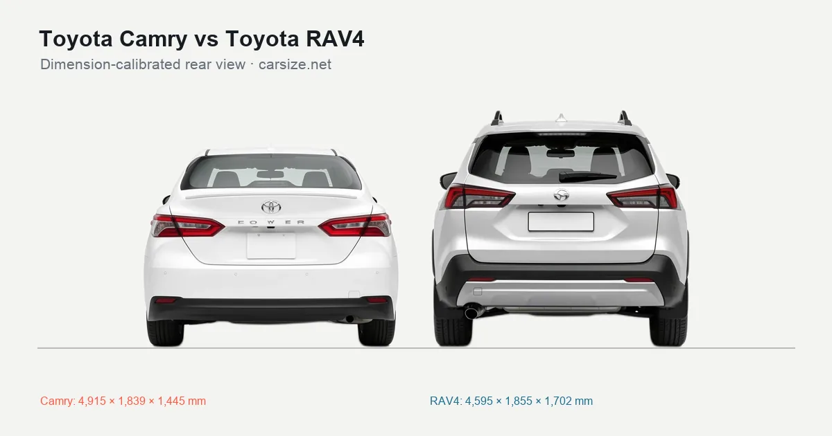 Toyota Camry and Toyota RAV4 compared to scale from the rear