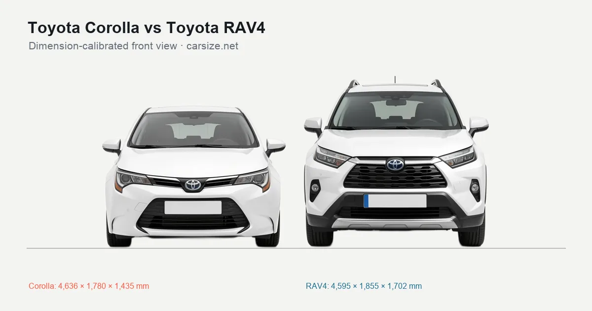 Toyota Corolla and Toyota RAV4 compared to scale from the front