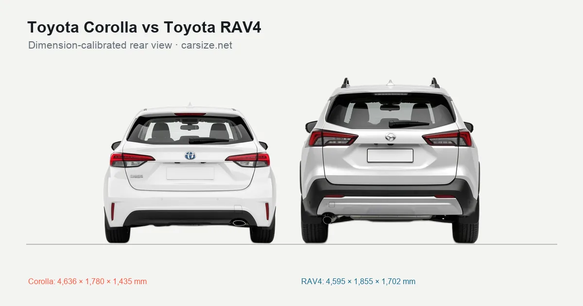 Toyota Corolla and Toyota RAV4 compared to scale from the rear
